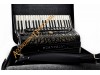 Scandalli Air IV 41 key 120 bass 4 voice Scottish tuned Tone Chamber accordion.  Midi expansion available.